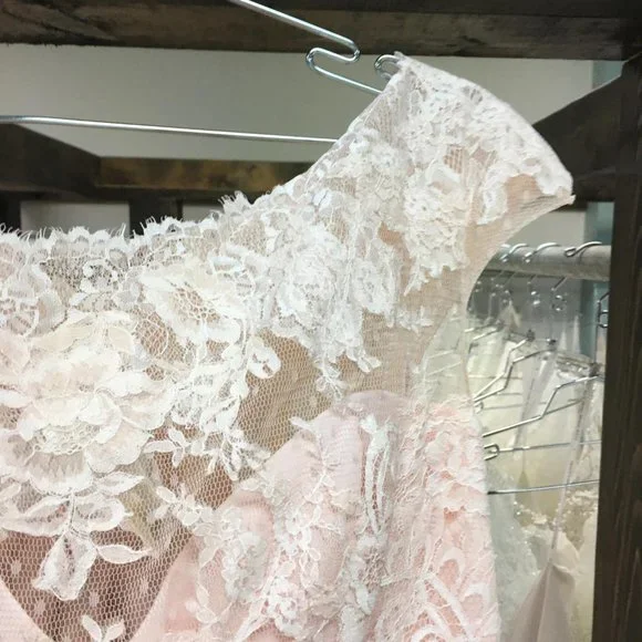 BLUSH Champagne Lace Rustic Wedding Dress, Cap Sleeve, Boat Neck Elegant Mother - Picture 12 of 15